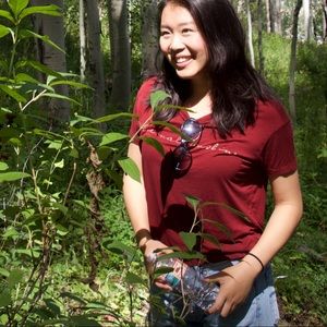 AE Soft & Sexy Maroon Tee